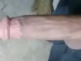 亚裔大鸡巴!! asian daddy's gay dealings videos