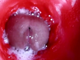 又湿又热的性感骚穴和湿漉漉的大鸡巴 asian tamil sexual congress videos gay